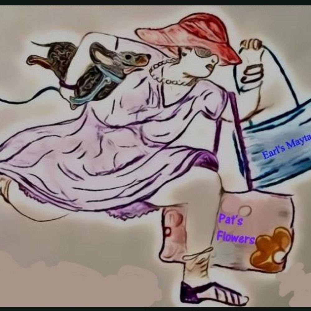 Meet your Posher, Hidden